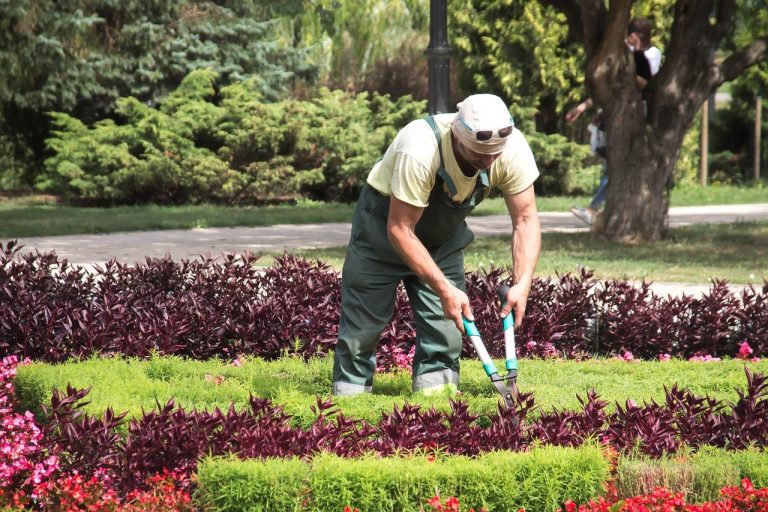 Home Professionele tuinman in Helmond verzorgt tuinonderhoud en -ontwerp voor particuliere en bedrijfstuinen